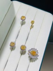 -VE DIAMOND·天然&培育钻石定制