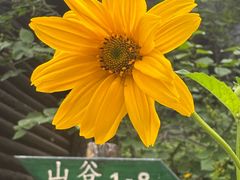 -北京水岸山吧度假村(雁栖镇店)