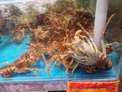 -金海湾海鲜总店