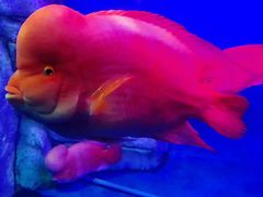 -泉州海丝野生动物世界