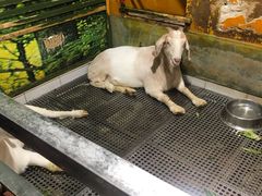 -上海大自然野生昆虫馆(东方明珠·爬宠昆虫探索中心)