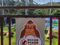 -西霞口神雕山野生动物世界