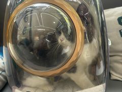 -pd派德宠物中心医院24H急重症·眼科中心·血液透析中心(嵩山北路店)