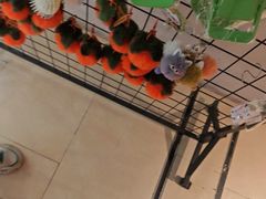 -顺风123(观音桥大融城店)