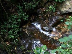 -南丹山森林王国