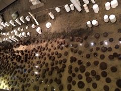 iphone_upload_pic-元代水闸遗址博物馆
