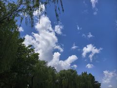 -济南大明湖景区