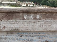 -峡谷浮石林景区