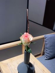 点击看大图 -FineYoga梵音瑜伽·普拉提