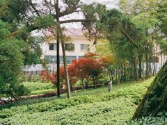 -缙云山景区