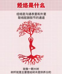 点击看大图 -慈蕊美容养生·专业经络调理