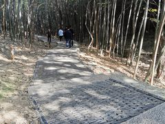 -穹窿山景区
