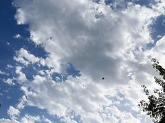 -诗经里