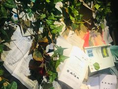 -胡桃里音乐酒馆(石家庄店)