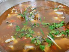 -小眼睛餐饮&杨杨夜宵