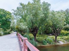 -上海滨江森林公园