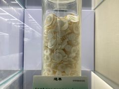 -广东中医药博物馆