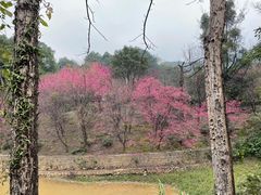 -南华禅寺