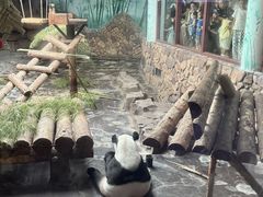 -济南野生动物世界