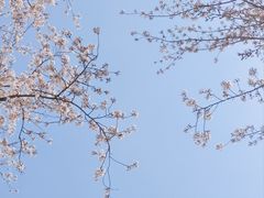 -西山漾湿地公园