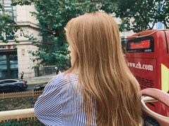 -BUS TOUR观光巴士