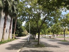 -四川大学(江安校区)
