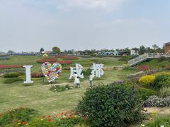 -空港花田景区