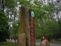 -黄海国家森林公园