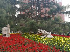 -迎泽公园