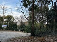 -平湖九龙山旅游度假区