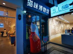 -猫咪博物馆(顶澳仔猫街店)