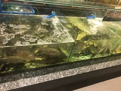 -Isla Sugbu Seafood City