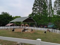 -白马涧龙池景区