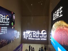 -恒生万鹂广场(唐镇店)