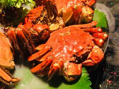 -嘉禾·悦享餐厅(八方汇店)