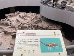-自贡恐龙博物馆
