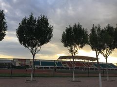 -南开大学滨海学院