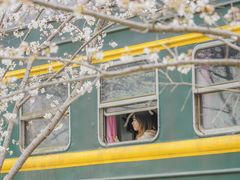 -新天地活力PARK