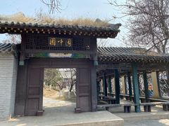 -桃花堤公园