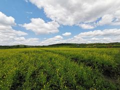 -鴜鹭湖生态旅游度假区