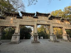 -灵谷景区