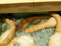 -宜宾海鲜酒家·三十年老字号