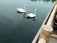 -石家庄市动物园