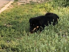 -永定河休闲森林公园