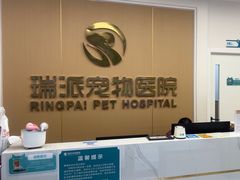 -瑞派康怡24h宠物医院·犬猫医疗中心·微创绝育(瑞景分院)