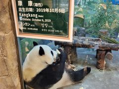 -上海野生动物园