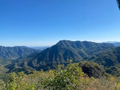 -大岭沟猕猴桃谷风景区