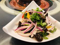 洋葱木耳-清真·京华源铜锅涮肉(丰庆店)