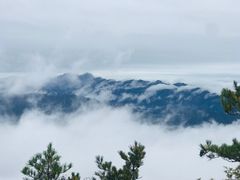 -牛背梁国家森林公园