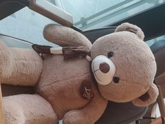 -比格比萨自助(德思勤四季汇店)